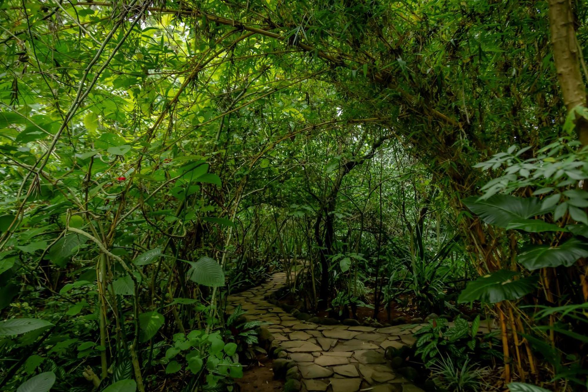 Fravan Eco Resort By Apogee Ruhengeri Ngoại thất bức ảnh